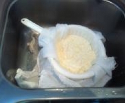 Lactose-Free Yoghurt