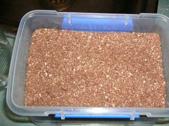 Black Forrest Dukkah