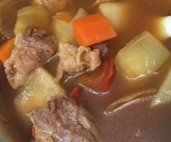 紅燒牛腩湯 Beef Brisket (pit belly) Soup