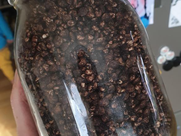 Chocolate Puffed Grain Cereal