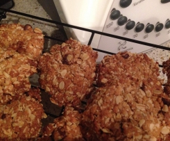 Peanut Butter & Chocolate Oat Biscuits
