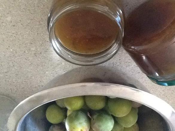Greengage Jam