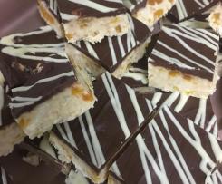Chocolate Apricot Slice