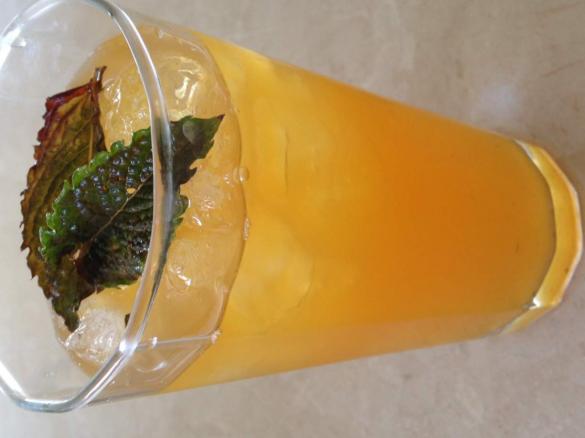 Refreshing South African Rooibos, Mint & Citrus Tea
