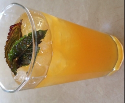Refreshing South African Rooibos, Mint & Citrus Tea