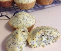 Orange and Poppy Seed Muffins