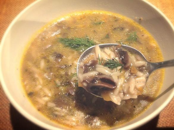 Mushroom soup 