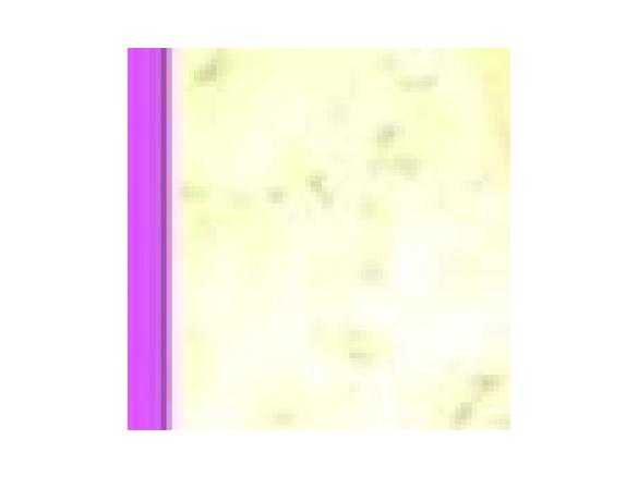 vegan coconut custard