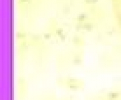 vegan coconut custard