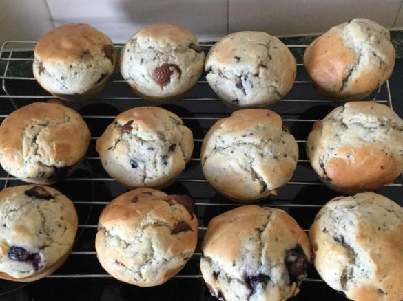 Blueberry choc-chip muffins