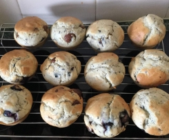 Blueberry choc-chip muffins