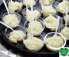 Arwen & Suzie's Lime-on-cello Sorbet