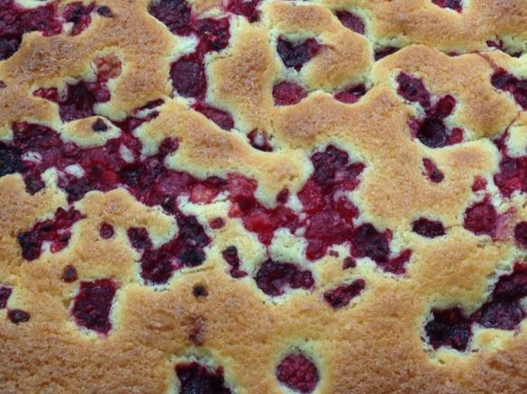 Coconut and Raspberry Delight