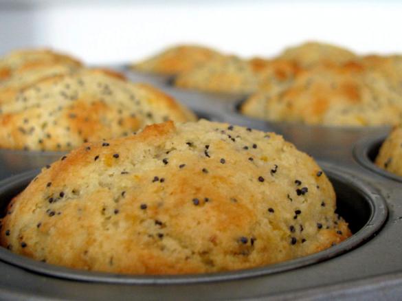 Lemon and Poppyseed Muffins