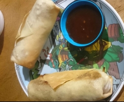 Kezz's Spring Rolls