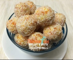 Apricot and White Chocolate Balls - ThermoFun