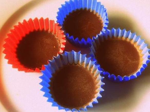 Raw Chocolate - Fructose Free