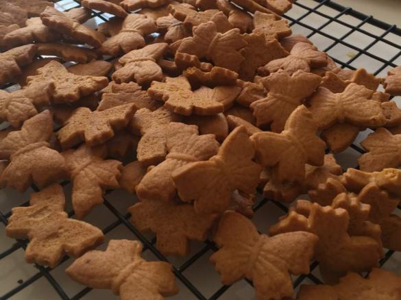 Ginger & vanilla snack biscuits