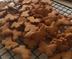 Ginger & vanilla snack biscuits