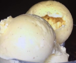Vanilla Malted Ice Cream