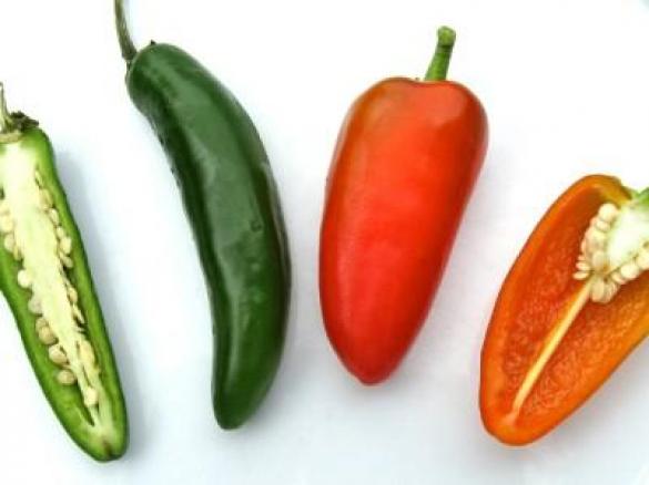 Jalepeno and Lime sauce