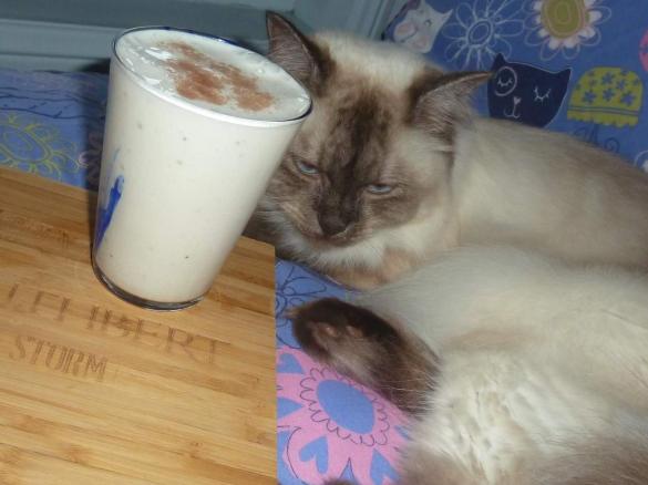 Thermo-cat Jemima's Banana Smoothie