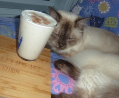 Thermo-cat Jemima's Banana Smoothie