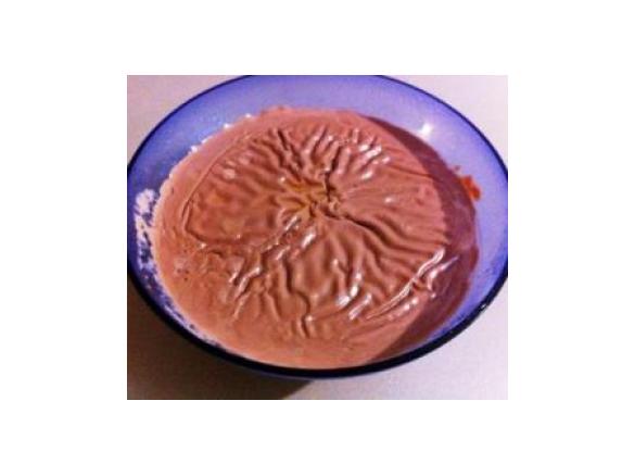 Chocolate Sauce or Yogo