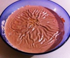 Chocolate Sauce or Yogo