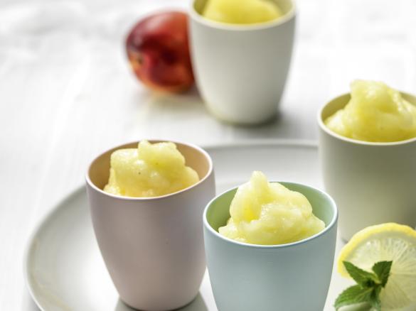 Quick fruit sorbet (TM31)