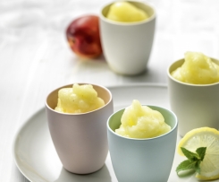 Quick fruit sorbet (TM31)