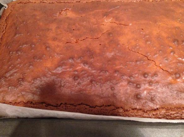 Fudgie Budgie Brownies