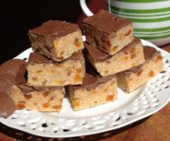 Shelley's Apricot and Chocolate Slice