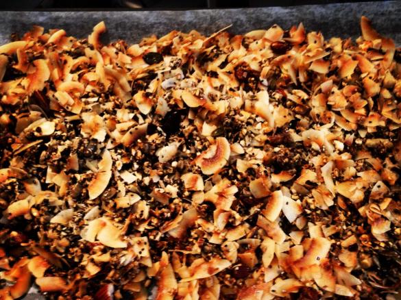 The Shrinking Hubby's Grain-free, Sugar-free Coconut Crunchy Museli