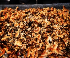 The Shrinking Hubby's Grain-free, Sugar-free Coconut Crunchy Museli