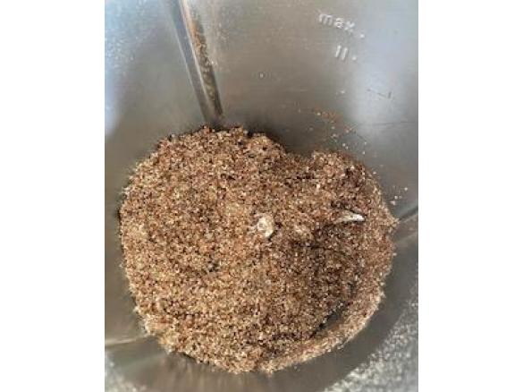 Cacao and coconut bliss balls