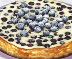Baked Blueberry Cheesecake 