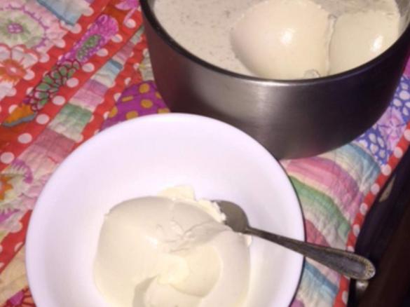 Thick Creamy Greek Style Yoghurt with Vanilla