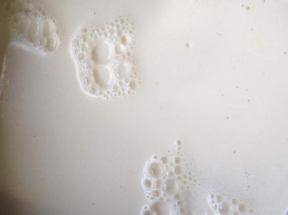 Vanilla Shortcut Yoghurt