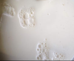 Vanilla Shortcut Yoghurt