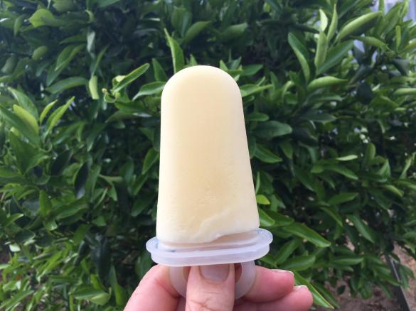 Milk Block Icy Poles - Traditional