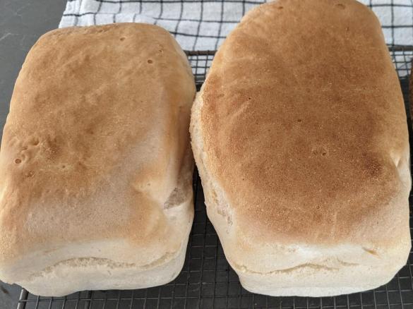 Gluten Free Bread (using Italian flour)