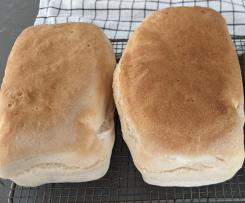 Gluten Free Bread (using Italian flour)
