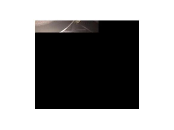 Zucchini Fritters with Greek yoghurt