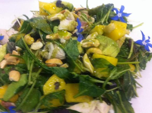 Chicken & Mango Salad