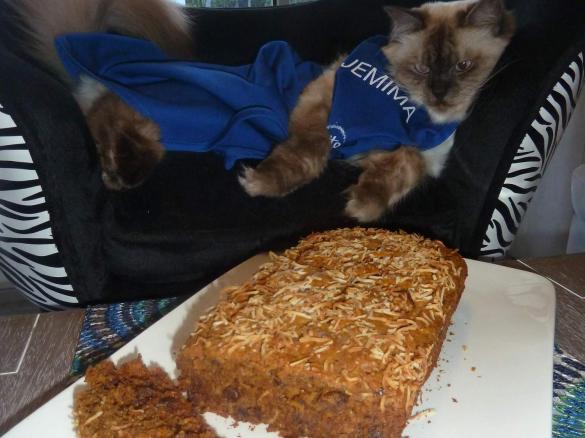 Thermo-Cat Jemima's Healthy Carrot Cake