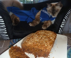 Thermo-Cat Jemima's Healthy Carrot Cake