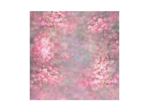 Variation Chicken, Bacon, Pumpkin & Spinach Risotto