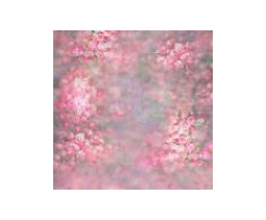 Variation Chicken, Bacon, Pumpkin & Spinach Risotto