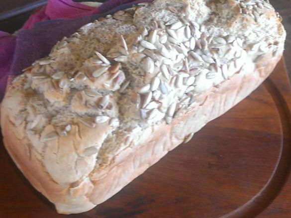 Bridget's Gluten Free Bread ( clone of Cyndi's )